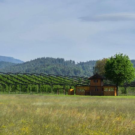 Unique Wooden Holiday House In Nature Lukovica pri Domzalah Екстер'єр фото